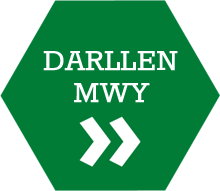 Darllen Mwy